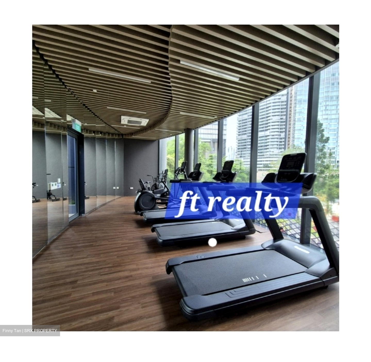North Buona Vista Road (D5), Condominium #587223691
